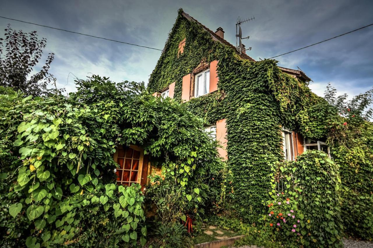 ❊ Au Murmure De L'Eau Au Coeur De L'Alsace ❊ Ebersheim Zewnętrze zdjęcie